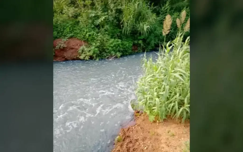 High time Kovai’s Achankulam tank gets a fresh lease of life