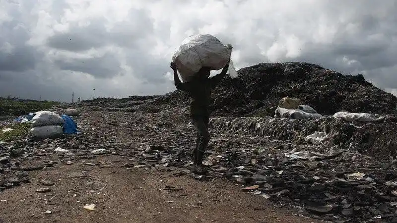 Legacy of delays hampers biomining, reclamation of waste dumps