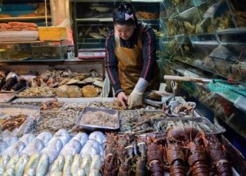 கோவிட் 19 – உலக சுகாதார அமைப்பு ஒருங்கிணைக்க தவறியதா? | பா.சந்திரசேகரன்