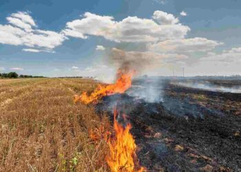 Missing Markets for Managing Stubble Burning in Punjab and Haryana