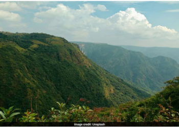 India’s Institutions and Its Bottlenecks: National Clean Air Programme